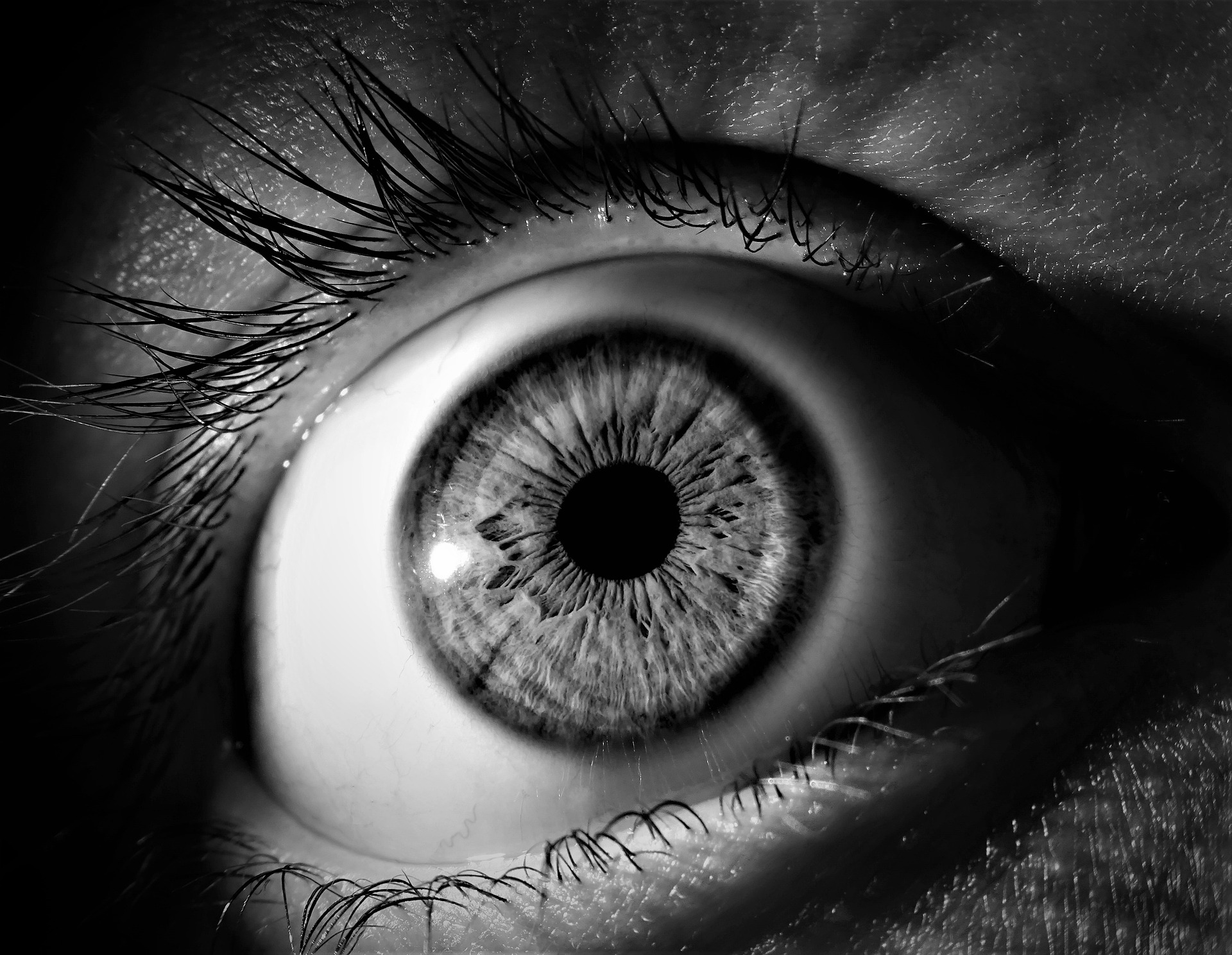 “Auge um Auge” – Ist Gottes Wort von Bestand?